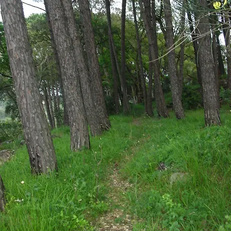 Bed & Breakfast Casacapraia Itri